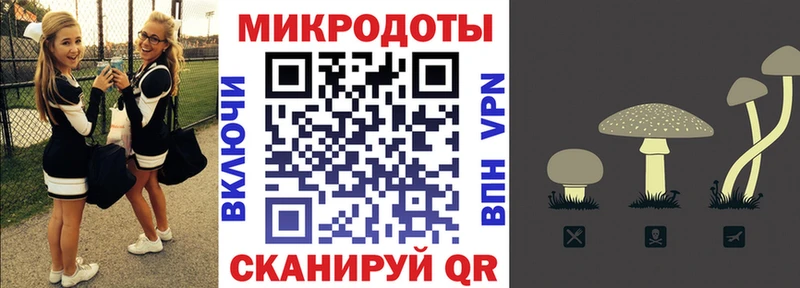 Галлюциногенные грибы Cubensis Купить где Чистополь